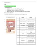 BIOS 251 Week 5 Lab-Integumentary System