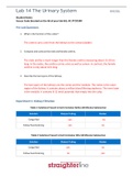 BIO 202L Lab 14 Worksheet- The Urinary System