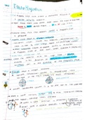 IEB Physics - Electrodynamics Notes