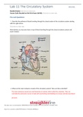 Straighterline BIOL 202L Lab 11 Worksheet- The Circulatory System