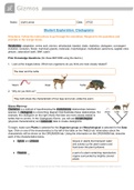 Test (elaborations) Biology 