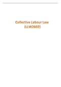 2022 EXAM ANSWERS (FULLY REFERENCED) - Collective Labour Law (LLW2602)