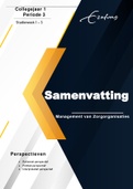 Samenvatting  Management van Zorgorganisaties