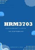 HRM3703 Assignment 4 2024 | Due 26 September 2024