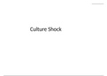 Culture Shock