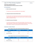 Exam (elaborations) BIO 202L Lab 14 Worksheet- The Urinary System 