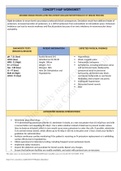 Rashid Ahmed Vsim Complete Concept Map Worksheet/ Complete Solution