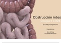 Obstruccion intestinal