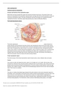 Unit 9 Learning Aim C Hormonal control of reproduction