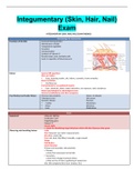 Integumentary (Skin, Hair, Nail) Exam INTEGUMENTARY (SKIN, HAIR, NAIL) EXAM FINDINGS