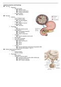 Endocrine A&P, Assessment, Diagnostics