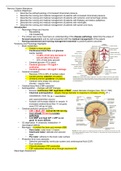 Neuro Alterations