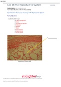 BIO 202L Lab 18 Worksheet- The Reproductive System