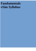 Fundamentals vSim Syllabus