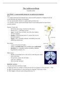 Adolescence Brain Elective - Lecture Notes 