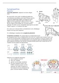 NEURONALE AANDOENINGEN - HC2 Synaptopathies - Corette Wierenga