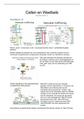 Samenvatting colleges Cellen en Weefsels Deeltentamen 2