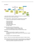 Chapter 7 summary (college+book) (Molecular Biology of the Cell)