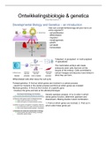 Summary lectures Developmental Biology and Genetics Partial Exam 1