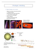 Samenvatting virologie met illustraties en notities