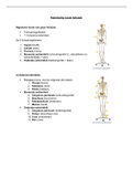 Samenvatting Anatomie - Jouw lichaam