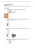 Optometrie Leerjaar 1, Blok D - HC6 Medisch Hart