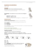 Samenvatting- Jef Michielsen- Spondylolysis en Spondylolysthesis