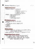 Health Assessment for Nursing Practice NOTES Ch.17 (NSG 3133)