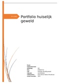 Portfolio huiselijk geweld