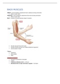 The anatomy of the neck & back 