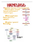 Haemostasis 