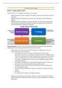 SUMMARY information systems strategy (ISS) for TISEM pre-master. Videos + guest lectures