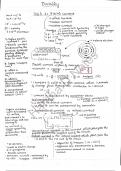 Electricity Class 10 Notes, CBSE