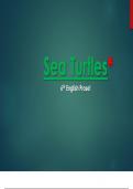 Sea Turtles – English Prose – PPT 