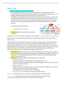 Complete summary of case 11 Pain