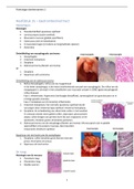 Samenvatting Pathology Deeltentamen 2