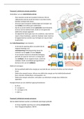 Samenvatting  Natuurkunde