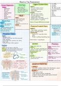 Head-to-Toe Assessment Notes 