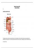 Essay Unit 8 - Physiology of Human Body Systems - Digestive systems