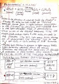 Bio_101_Class_Notes__Cyclic_and_Non_Cyclic_Pathways.