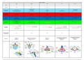 Tabelle_Wirbel im Vergleich