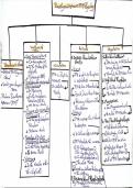 The Parathyroid Hormone Physiology