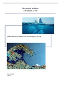 Microplastics essay English vwo year 6