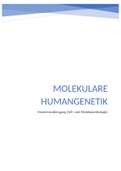 Zusammenfassung Humangenetik 