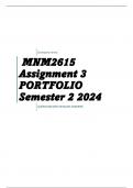 MNM2615 Assignment 3 PORTFOLIO Semester 2 2024