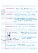 Handwritten and Digital Notes Cambridge International AS and A Level Biology Students Coursebook