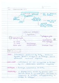 Handwritten and Digital Notes Cambridge International AS and A Level Biology Students Coursebook