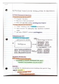 Ap Biology- Reproduction and Gene Regulation in Bacteria