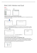 AVV Blok 3 Werken met Excel Bachelor 1