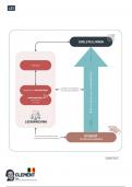 Schema's en visualisaties Bevorderen van leerprocessen